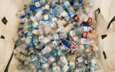 Alberta’s Beverage Container Recycling Update