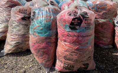 Alberta Recycling Pilot for Grain Bags and Baler Twine Extended to August 2023